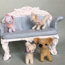 Три котёнка и один чих