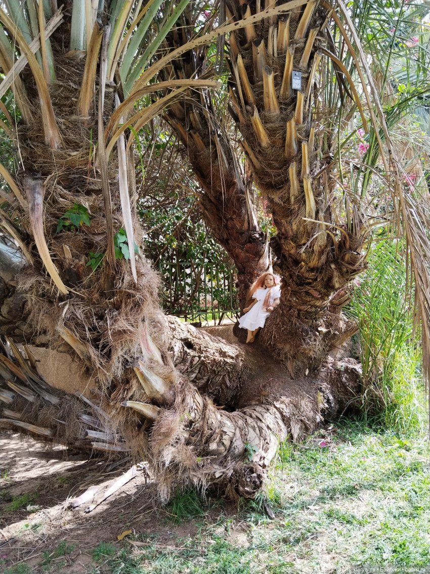 Яркие краски земли обетованной