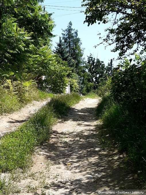 Северус приехал — Куклы Barbie (Барби): Looks