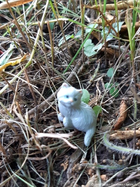 Северус приехал — Куклы Barbie (Барби): Looks