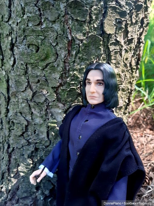 Северус приехал — Куклы Barbie (Барби): Looks