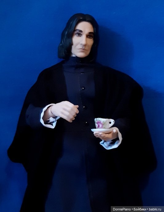 Северус приехал — Куклы Barbie (Барби): Looks