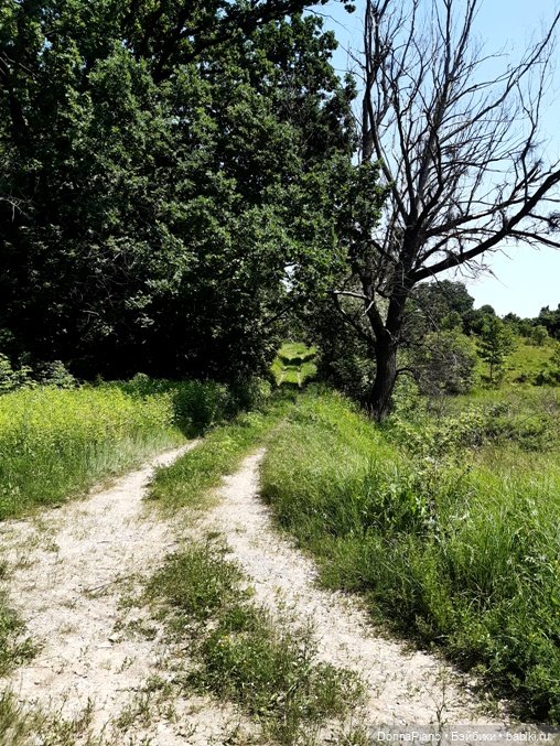 Северус приехал — Куклы Barbie (Барби): Looks