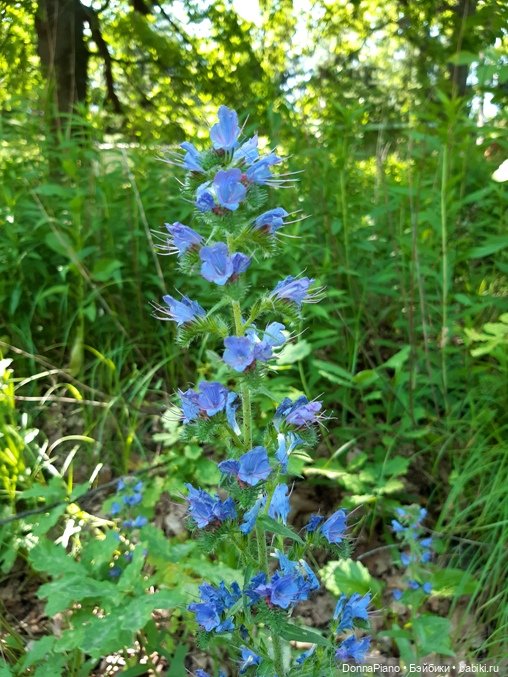 Северус приехал — Куклы Barbie (Барби): Looks (фото 9)
