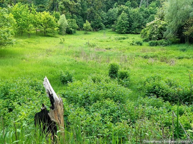 Северус приехал — Куклы Barbie (Барби): Looks