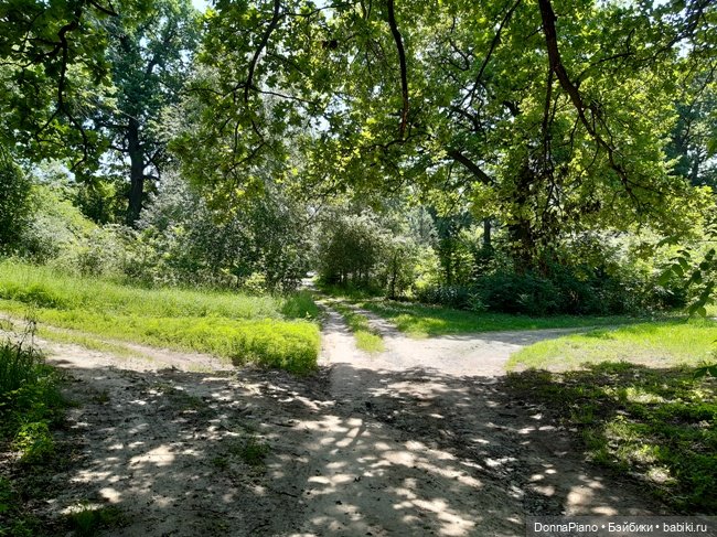 Северус приехал — Куклы Barbie (Барби): Looks