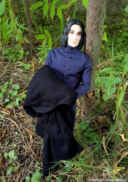 Северус приехал — Куклы Barbie (Барби): Looks