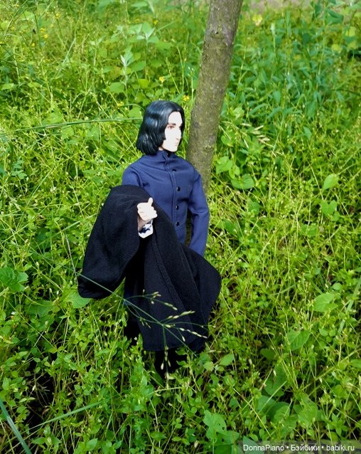 Северус приехал — Куклы Barbie (Барби): Looks