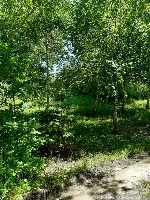 Северус приехал — Куклы Barbie (Барби): Looks (фото 6)