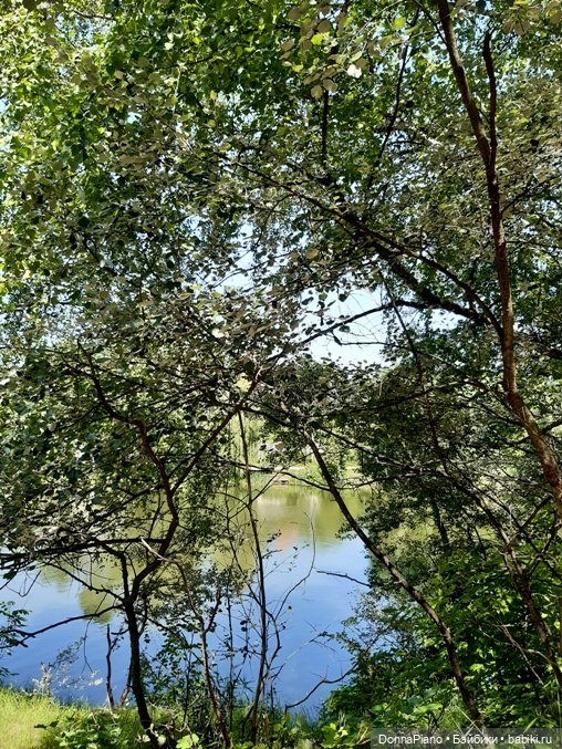 Северус приехал — Куклы Barbie (Барби): Looks