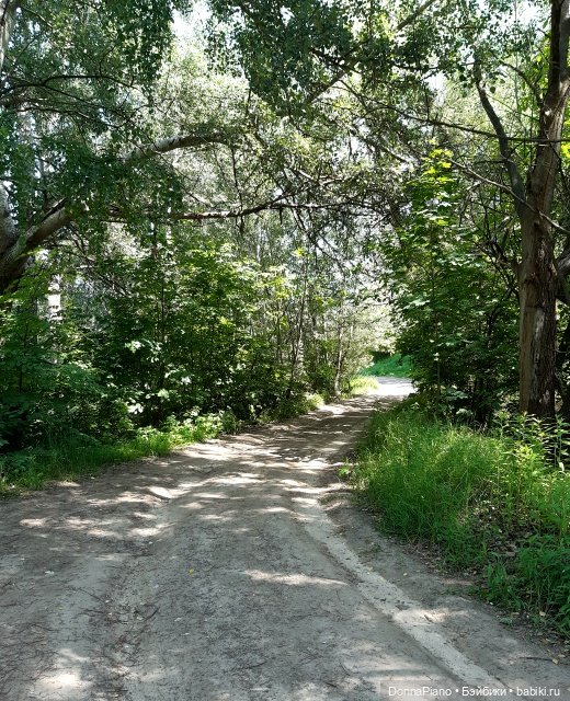 Северус приехал — Куклы Barbie (Барби): Looks