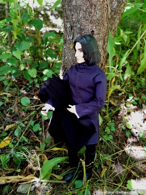 Северус приехал — Куклы Barbie (Барби): Looks