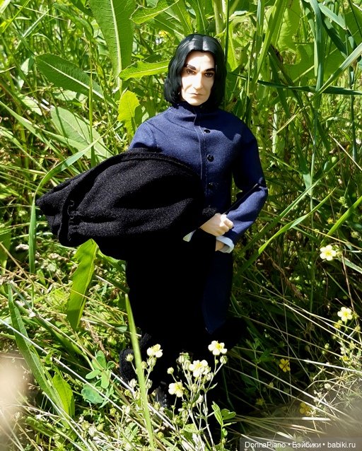 Северус приехал — Куклы Barbie (Барби): Looks