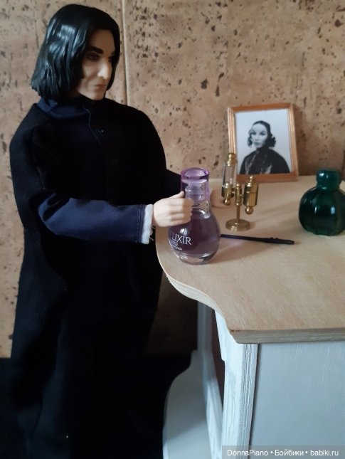 Квартирная магия профессора Снейпа