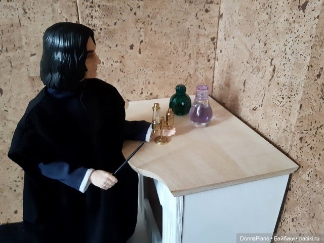 Квартирная магия профессора Снейпа (фото 10)