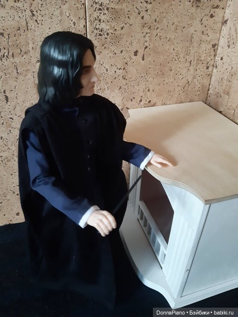 Квартирная магия профессора Снейпа (фото 9)