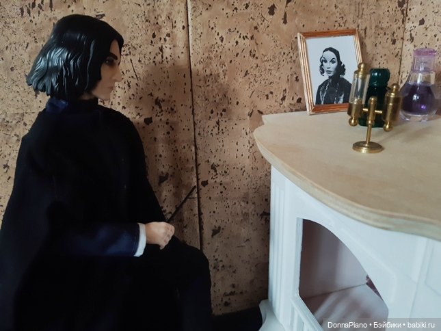 Квартирная магия профессора Снейпа