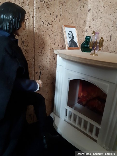 Квартирная магия профессора Снейпа