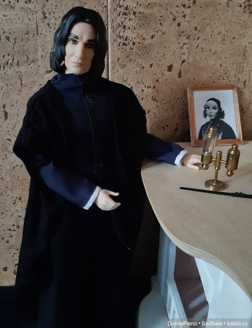 Квартирная магия профессора Снейпа