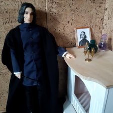 Квартирная магия профессора Снейпа