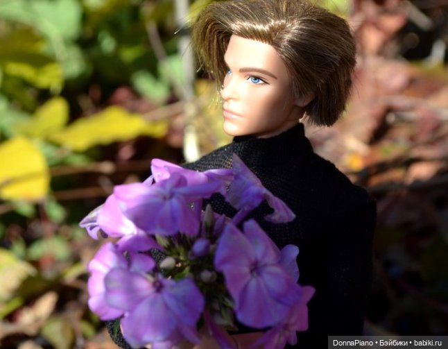 Осенняя Феерия. Чакарера — Куклы Barbie (Барби): Looks