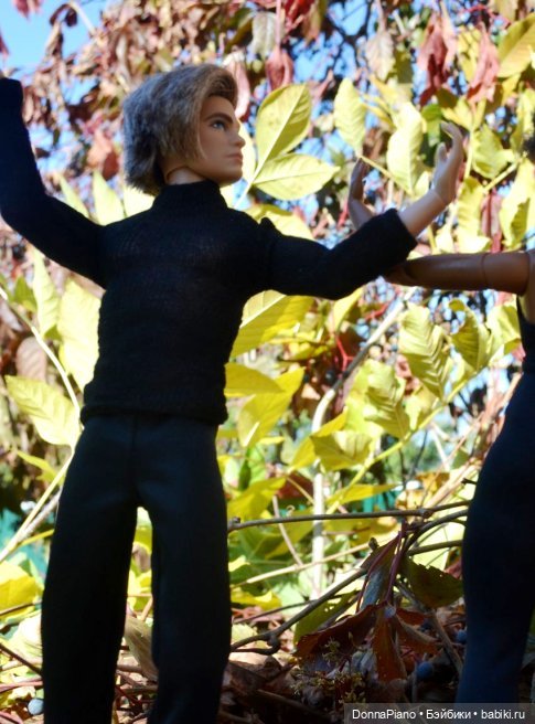 Осенняя Феерия. Чакарера — Куклы Barbie (Барби): Looks