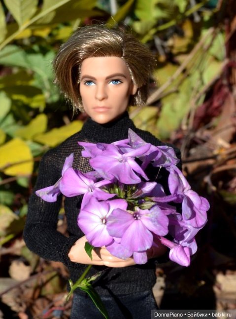 Осенняя Феерия. Чакарера — Куклы Barbie (Барби): Looks