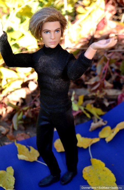 Осенняя Феерия. Чакарера — Куклы Barbie (Барби): Looks (фото 8)