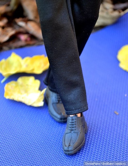 Осенняя Феерия. Чакарера — Куклы Barbie (Барби): Looks