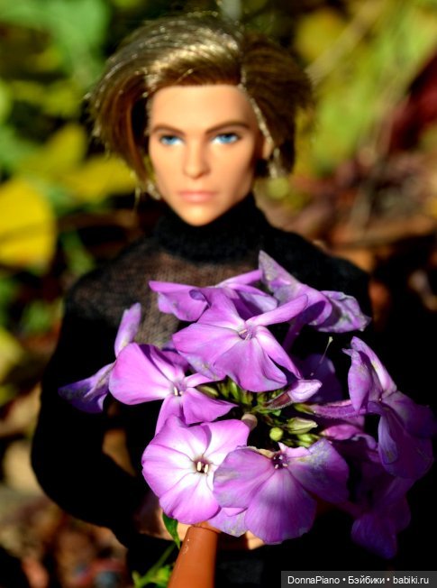 Осенняя Феерия. Чакарера — Куклы Barbie (Барби): Looks