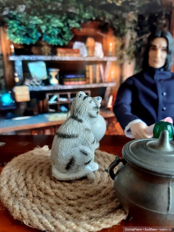 Профессор Снейп и магический интенсив-курс (АНОНС) (фото 4)