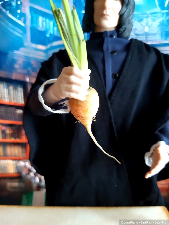 Профессор Снейп открывает курсы