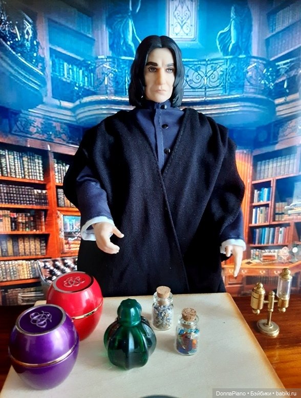 Профессор Снейп открывает курсы (фото 2)