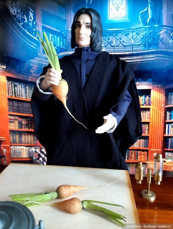 Профессор Снейп открывает курсы