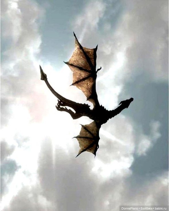 Учебный год ещё не начался (фото 5)