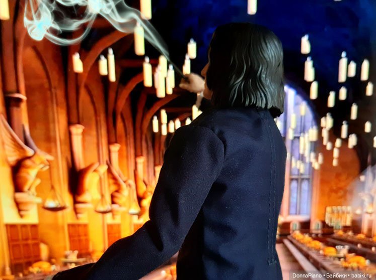 Дуэльный клуб профессора Снейпа (фото 2)