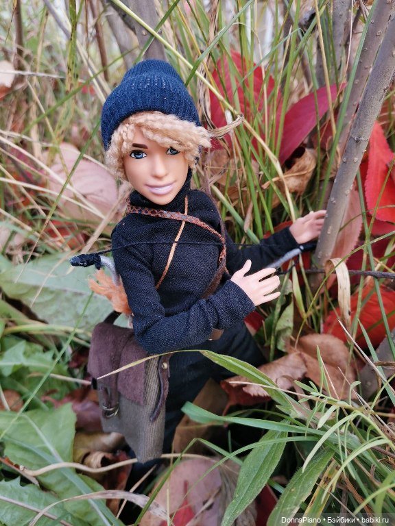 Поймать дракона — Кукольные фотоистории и сериалы: комиксы