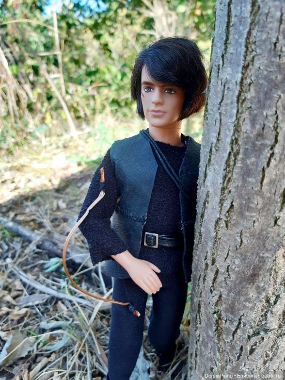 Поймать дракона — Кукольные фотоистории и сериалы: комиксы