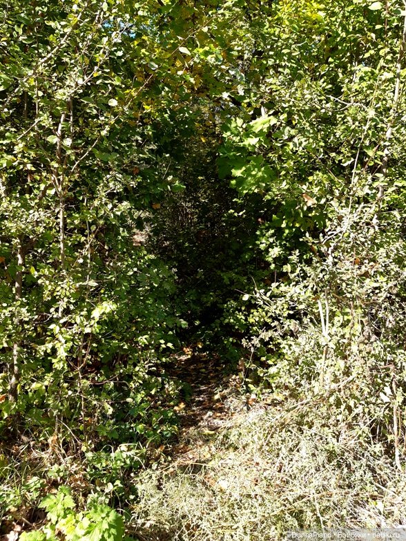 Поймать дракона — Кукольные фотоистории и сериалы: комиксы (фото 8)