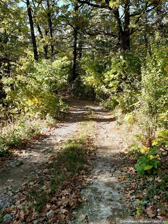 Поймать дракона — Кукольные фотоистории и сериалы: комиксы (фото 9)