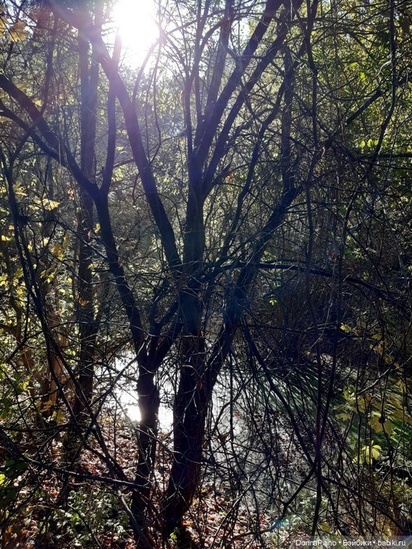 Поймать дракона — Кукольные фотоистории и сериалы: комиксы