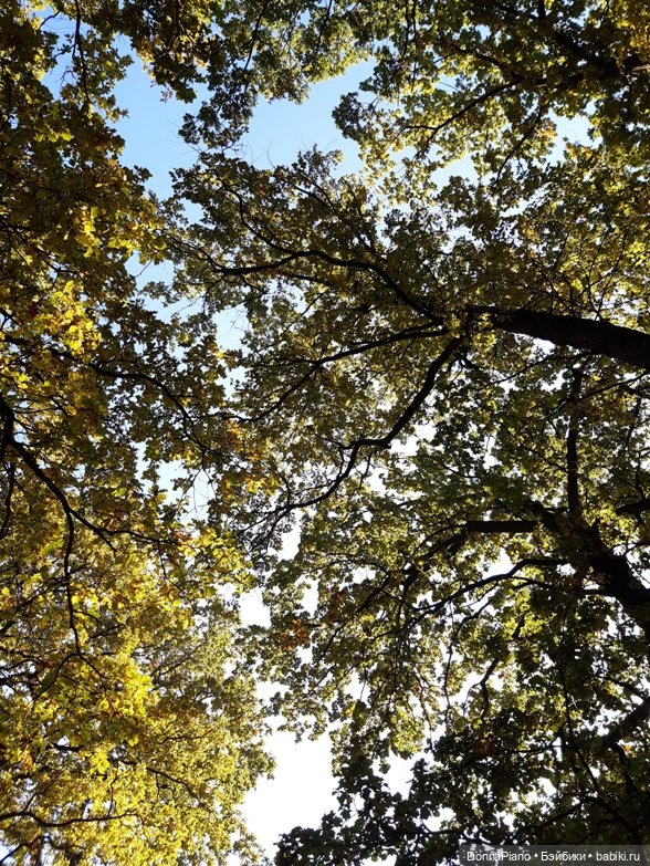 Поймать дракона — Кукольные фотоистории и сериалы: комиксы (фото 2)