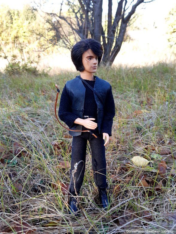 Поймать дракона — Кукольные фотоистории и сериалы: комиксы