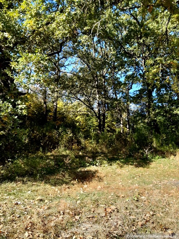 Поймать дракона — Кукольные фотоистории и сериалы: комиксы (фото 7)