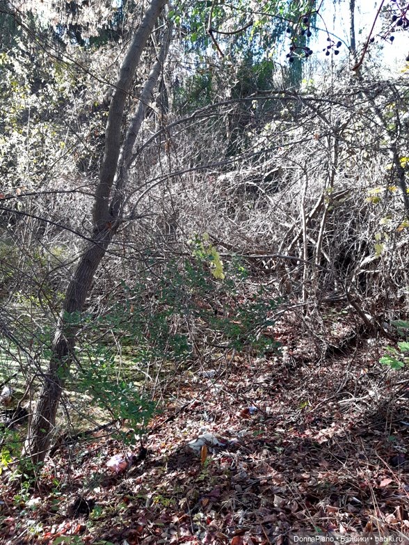 Поймать дракона — Кукольные фотоистории и сериалы: комиксы (фото 10)