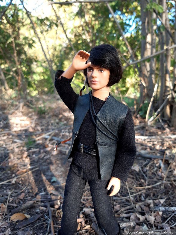 Поймать дракона — Кукольные фотоистории и сериалы: комиксы