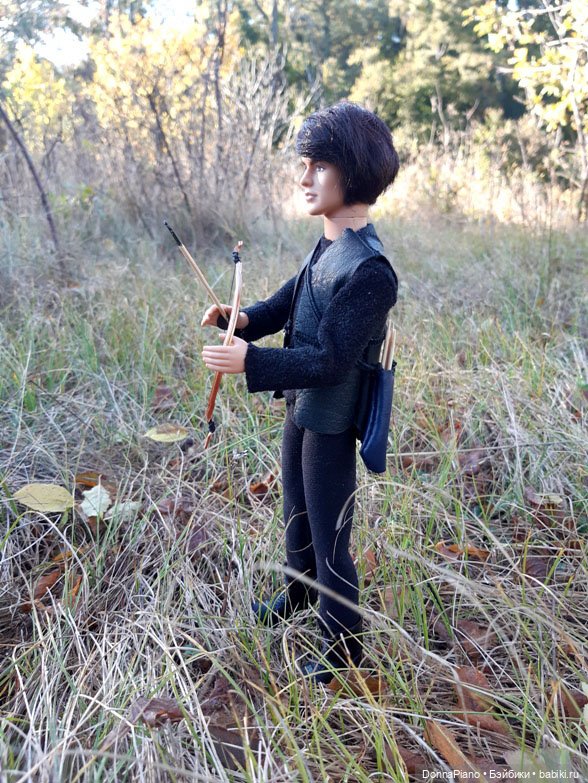 Поймать дракона — Кукольные фотоистории и сериалы: комиксы