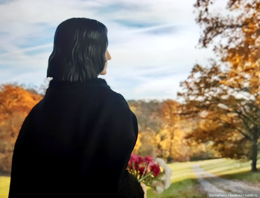 Осень в Годриковой впадине (фото 4)