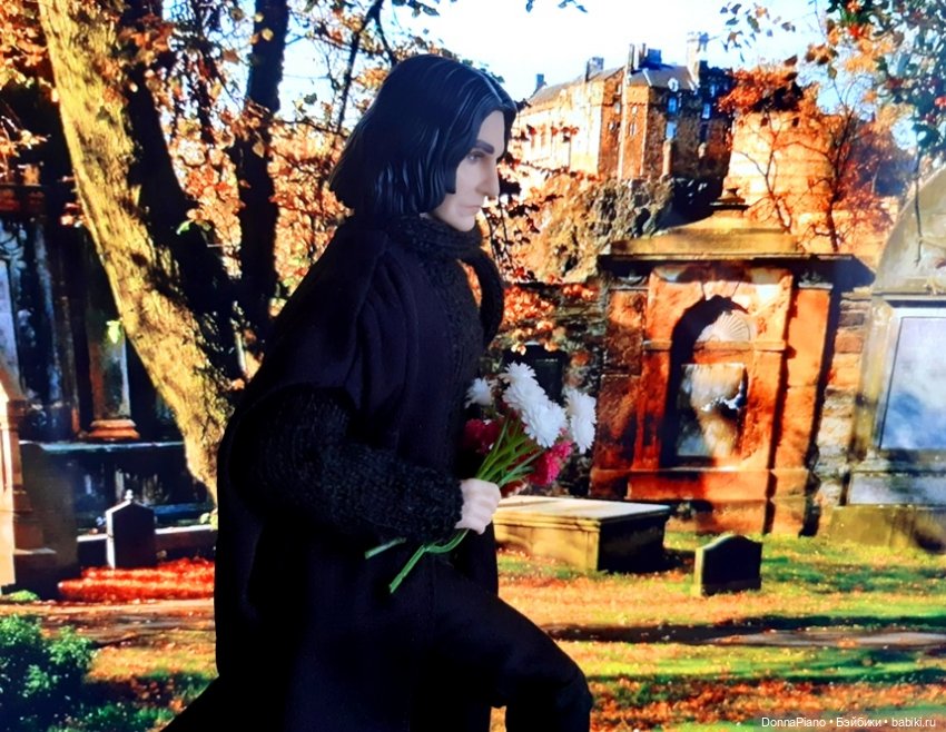 Осень в Годриковой впадине (фото 10)