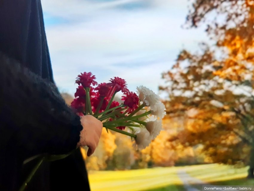 Осень в Годриковой впадине (фото 3)